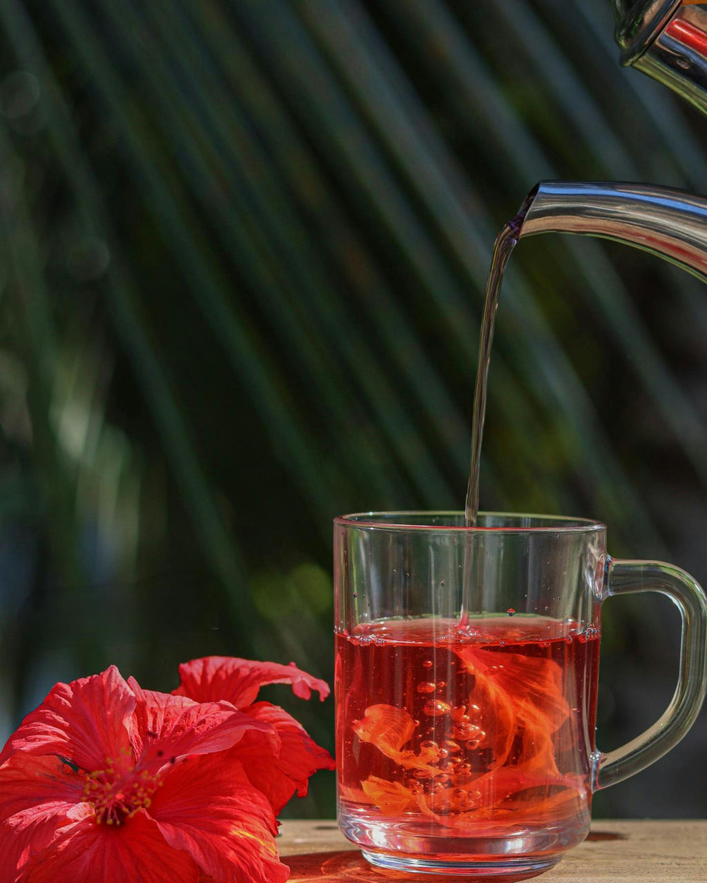KAFORÉ Hibiscus Berry Tea – Bold. Bright. Beautiful
